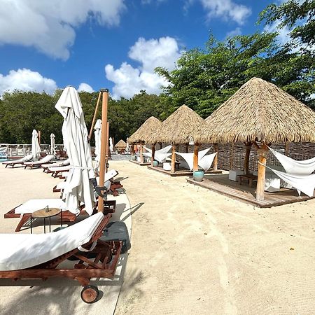 La Ruche De Maia - Blue Dream Beach - Piscine - Jardin - Plage Grand-Bourg  Zewnętrze zdjęcie